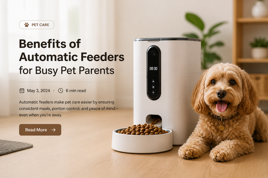 Benefits of Automatic Feeders for Busy Pet Parents