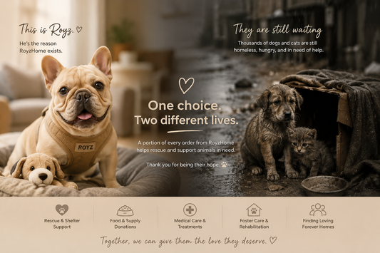 How You Can Help Rescue Animals